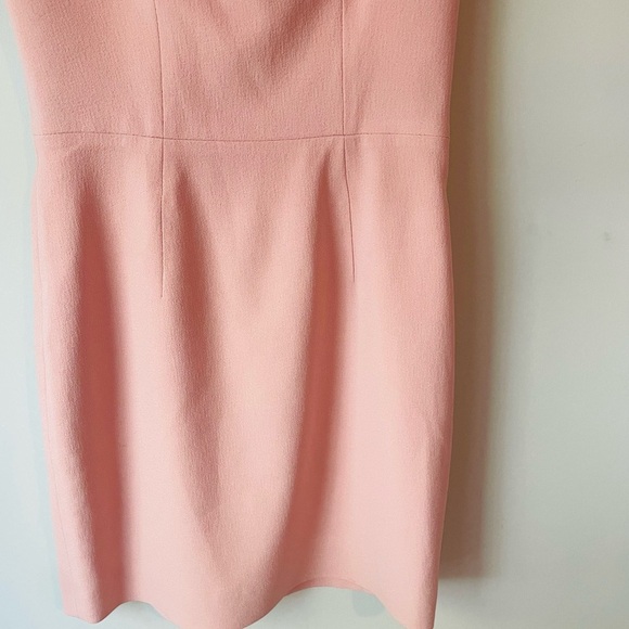 Dress the Population Blush Pink Sheath Dress - Picture 6 of 8